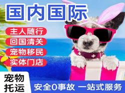柳州航空物流国际宠物托运 【国